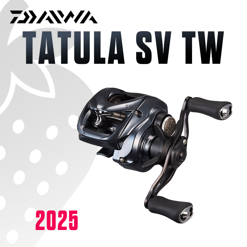 DAIWA 2025 TATULA SV TW100 Fis - огляд і ціна Daiwa Reel Bg