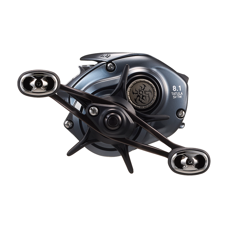 DAIWA 2025 TATULA SV TW100 Fis - огляд і ціна Daiwa Reel Bg